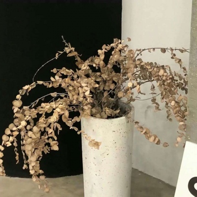 尼玛福瑞交流群